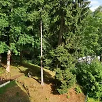 Parkhotel Forest 4*
