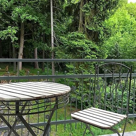 호텔 Parkhotel Forest 4*