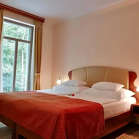 Parkhotel Forest 마리안스케 라즈네