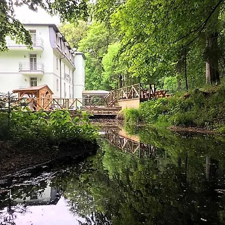Parkhotel Forest 4* 마리안스케 라즈네