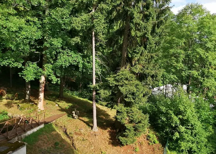 Parkhotel Forest 4*